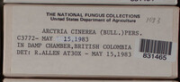Image Associated With the Occurence